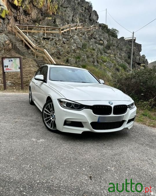 2013' BMW 318 photo #1