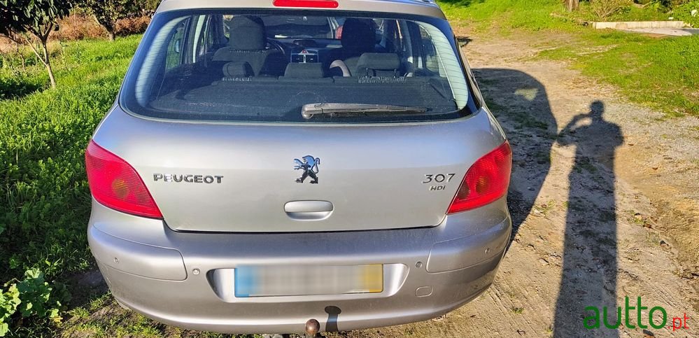 2004' Peugeot 307 Break photo #2