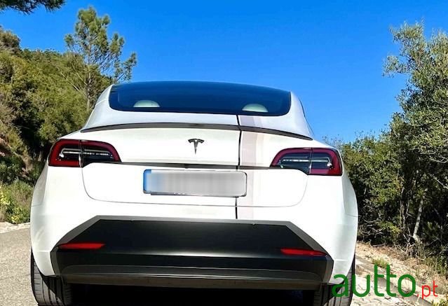 2020' Tesla Model 3 photo #5