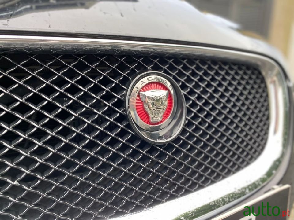 2014' Jaguar XF photo #3