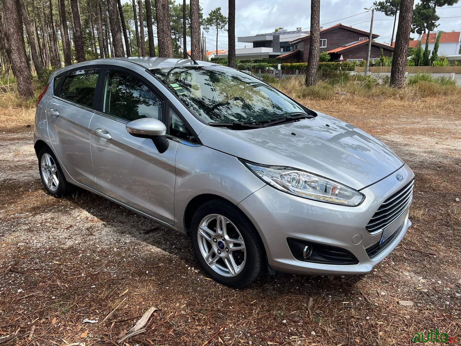 2014' Ford Fiesta photo #1