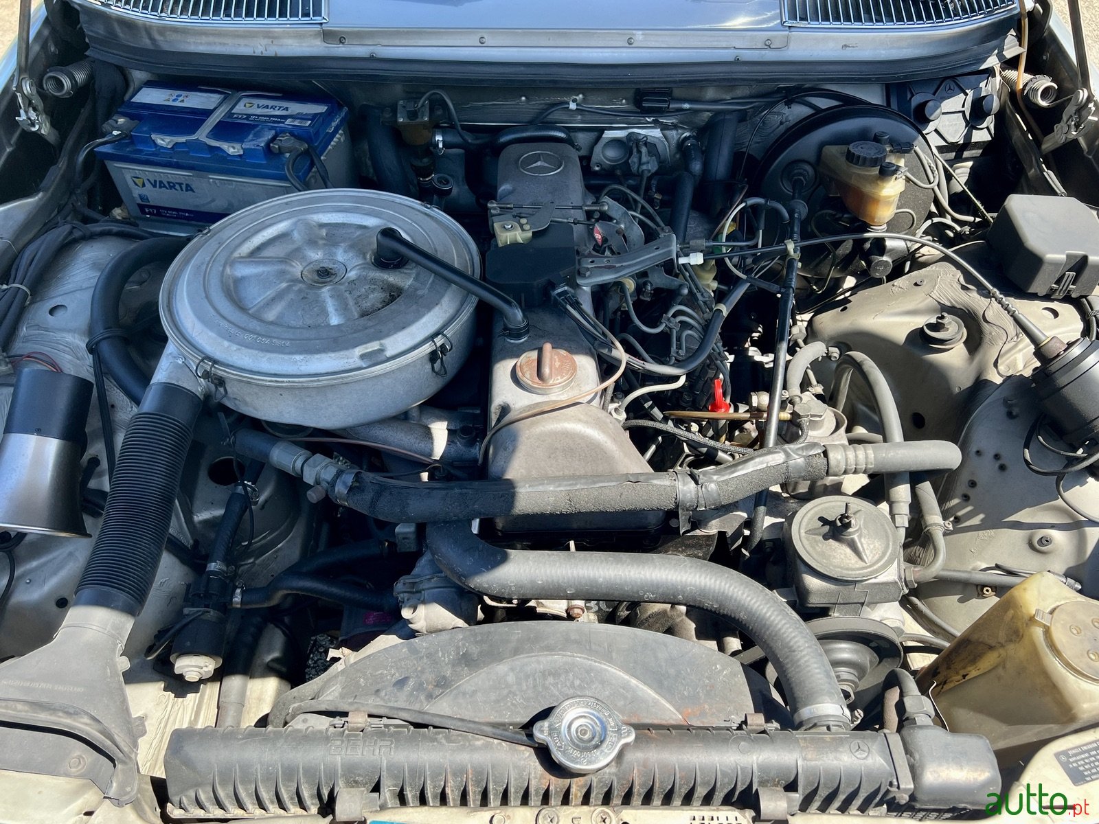 1981' Mercedes-Benz 300D photo #7