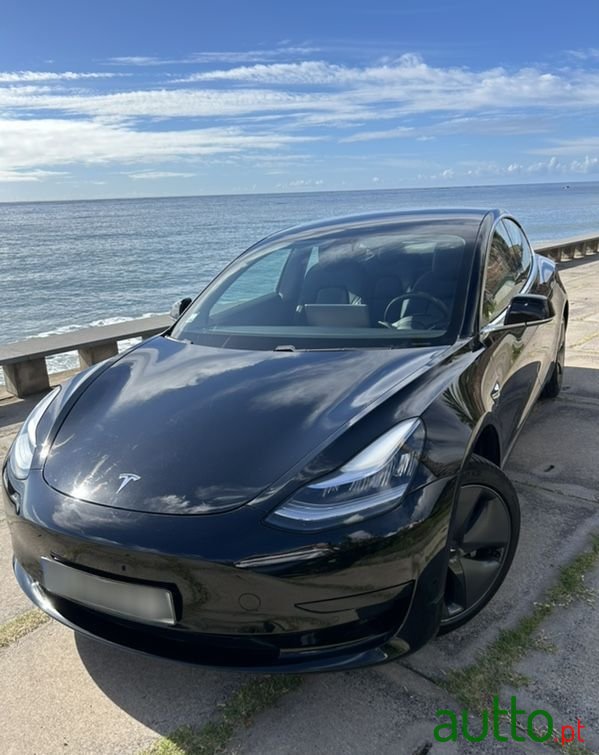 2020' Tesla Model 3 photo #1