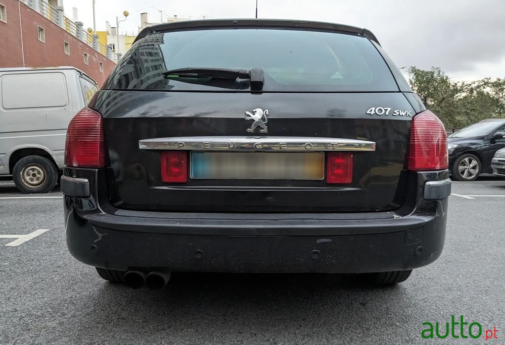 2005' Peugeot 407 Sw photo #6