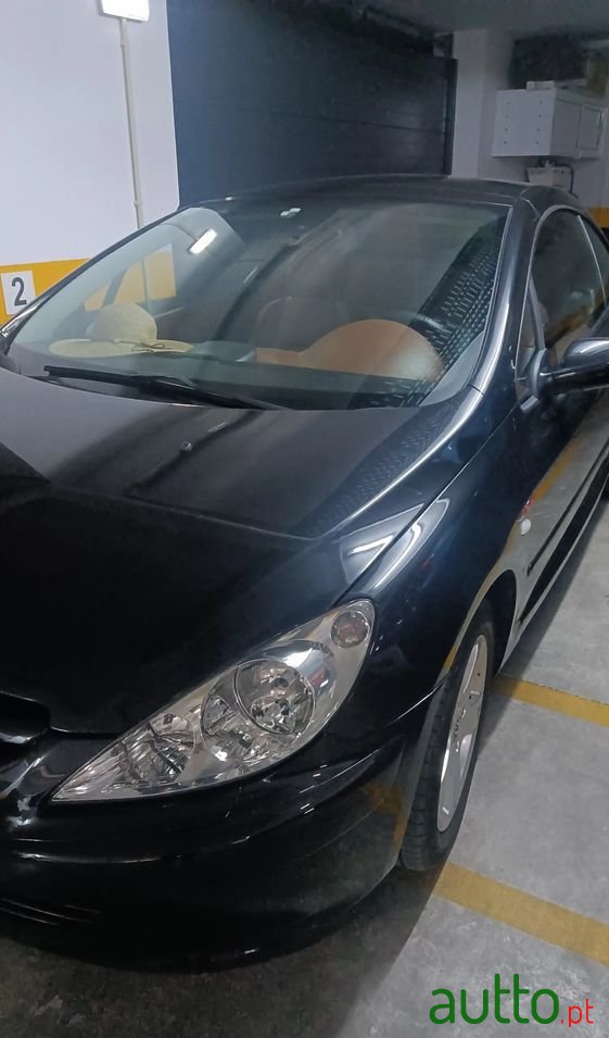 2004' Peugeot 307 1.6 Dynamique photo #5