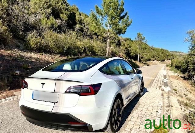 2020' Tesla Model 3 photo #6