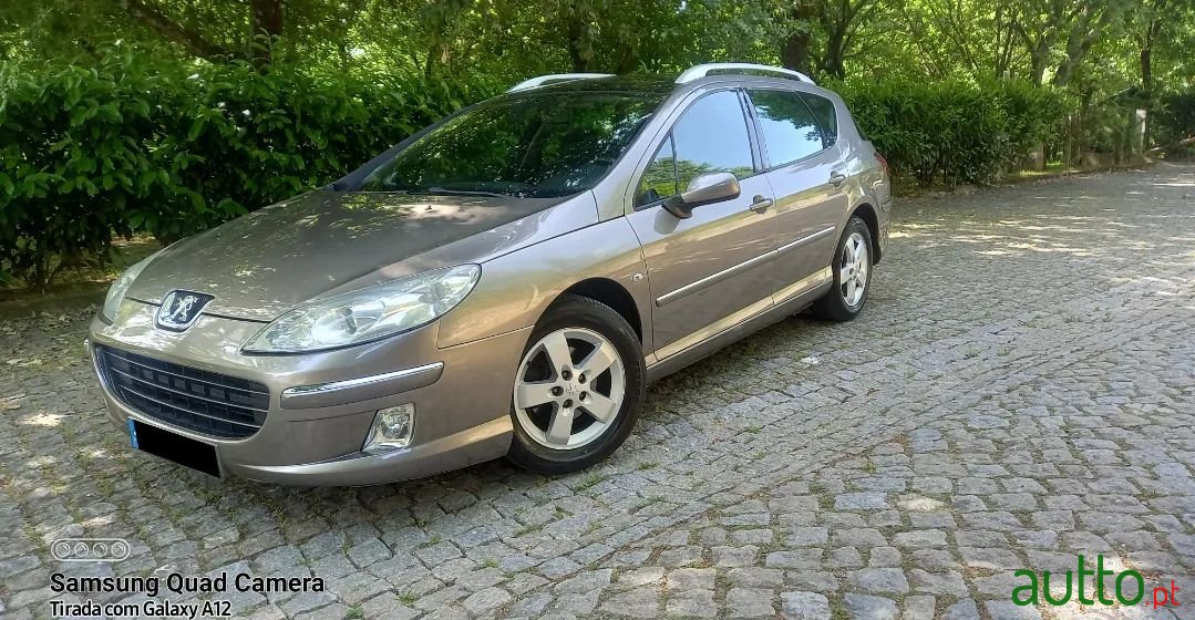 2007' Peugeot 407 Sw photo #2