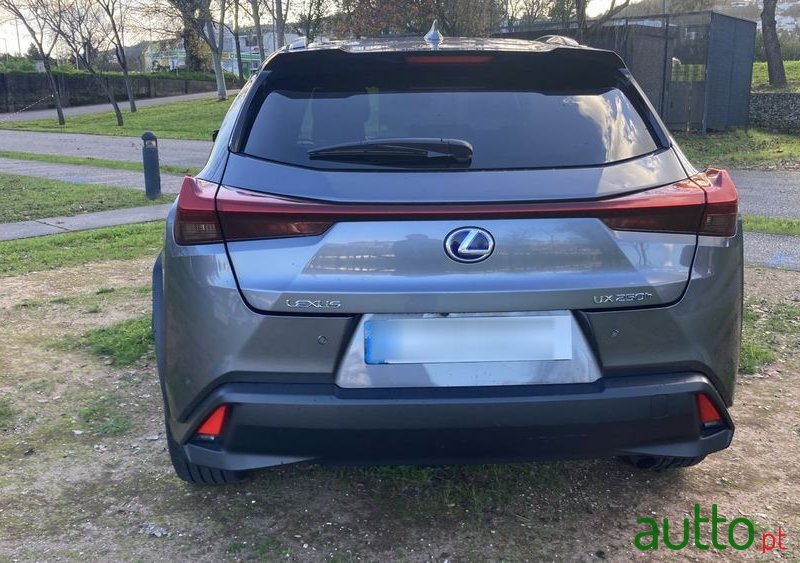 2022' Lexus UX Special Edition (Lca) photo #6