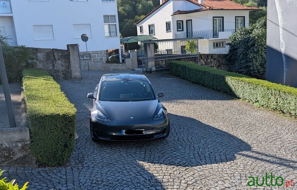 2021' Tesla Model 3 photo #1