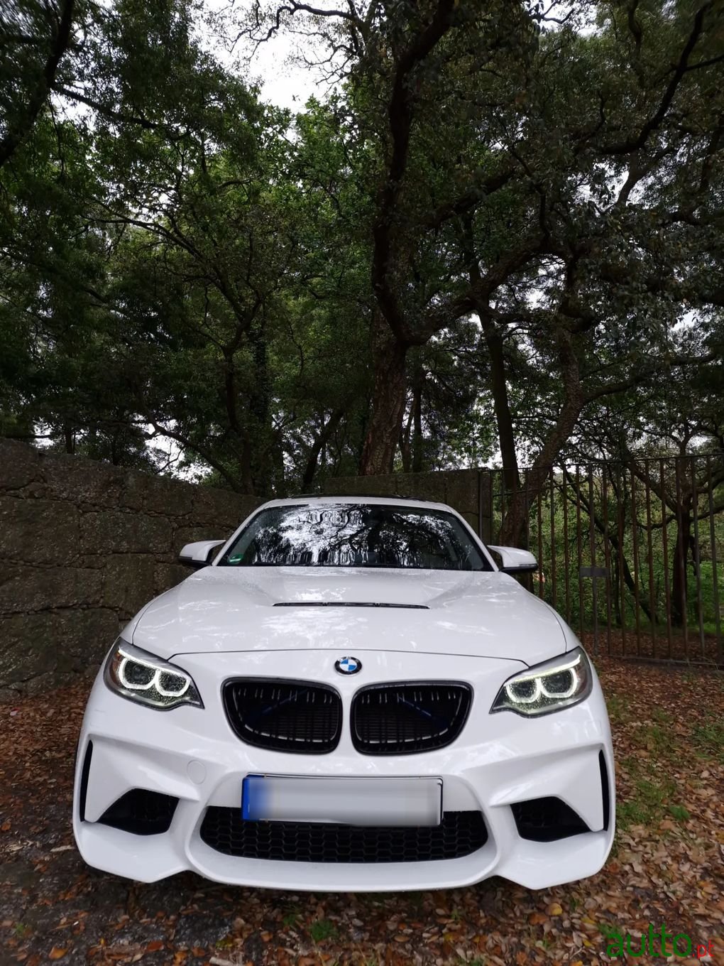 2015' BMW 220 photo #2