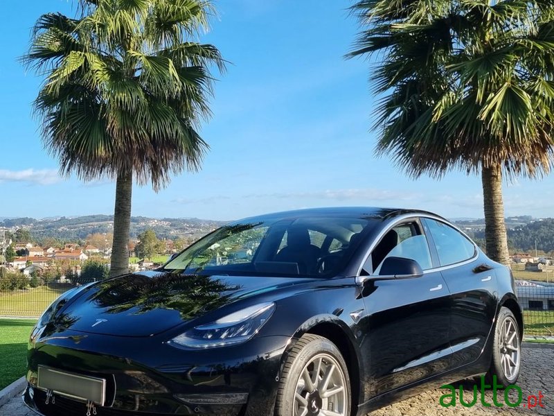 2019' Tesla Model 3 photo #2