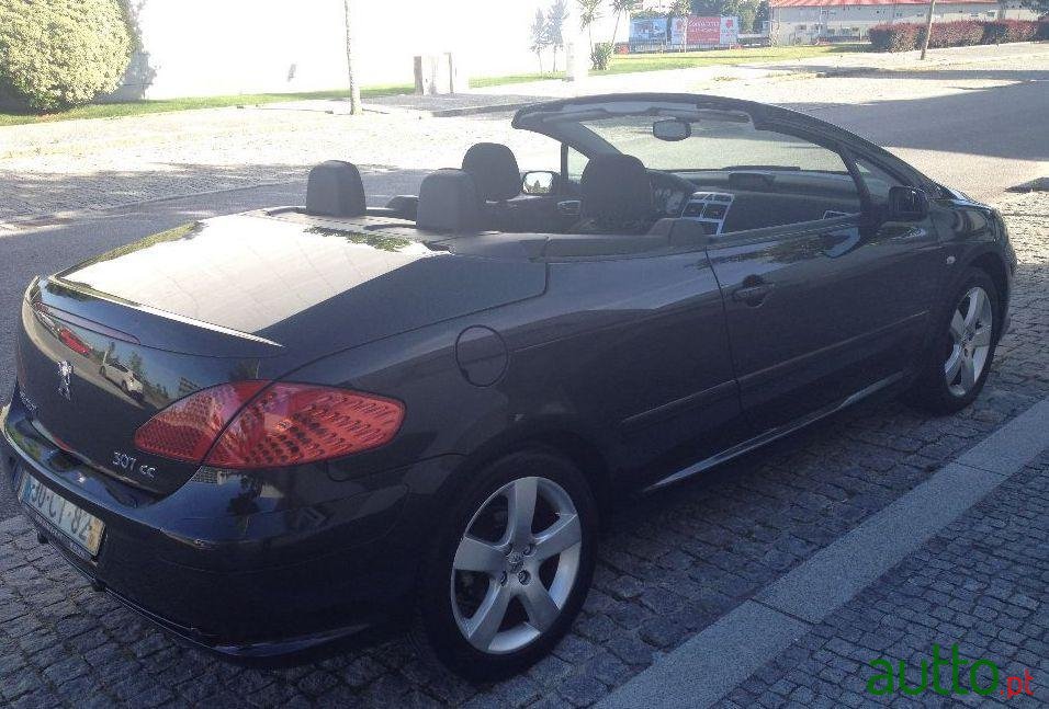 2007' Peugeot 307 Sport photo #1