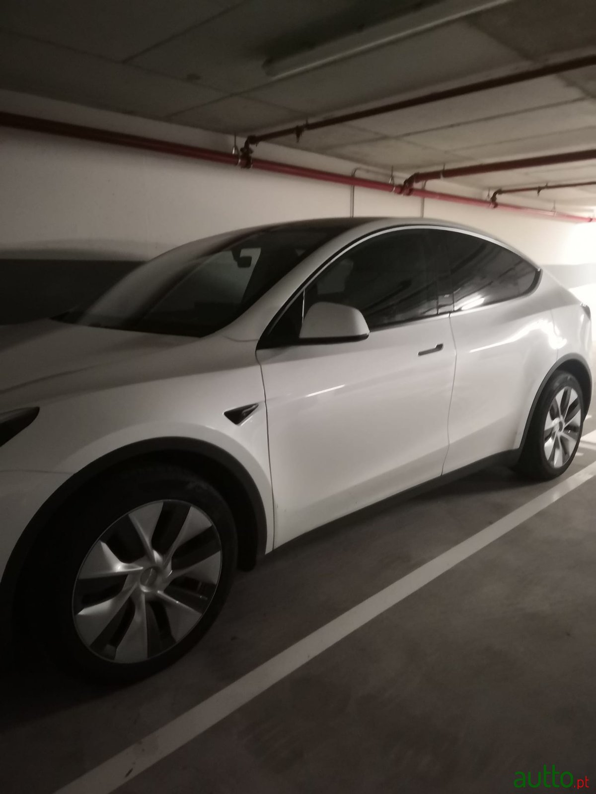 2023' Tesla Model Y photo #1