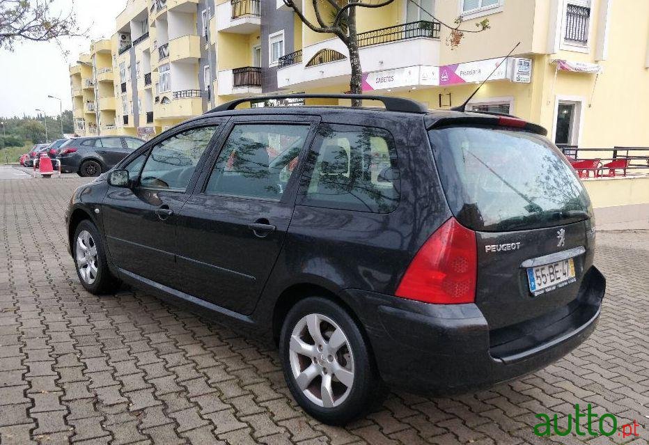 2006' Peugeot 307-Sw photo #1