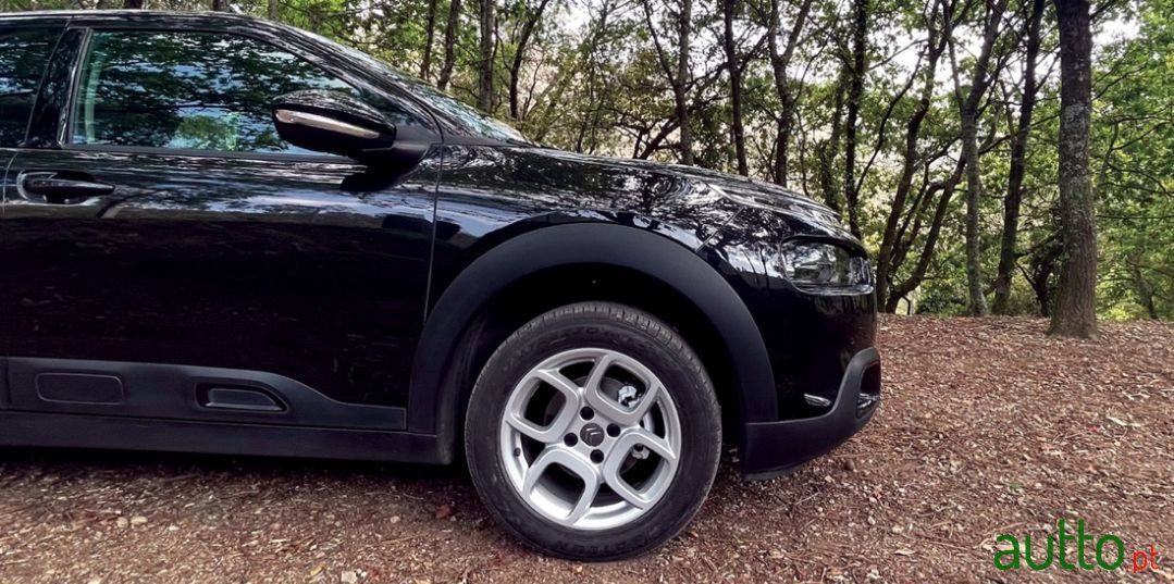 2018' Citroen C4 Cactus photo #6