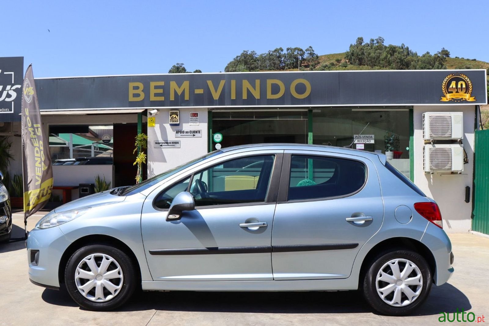 2009' Peugeot 207 photo #4