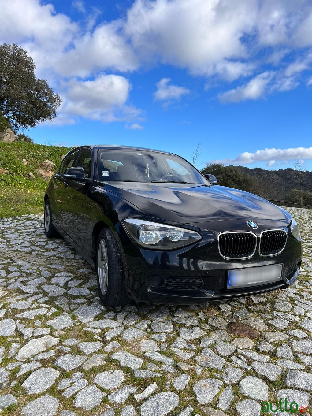 2015' BMW 116 photo #1