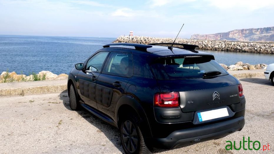 2018' Citroen C4 Cactus photo #1