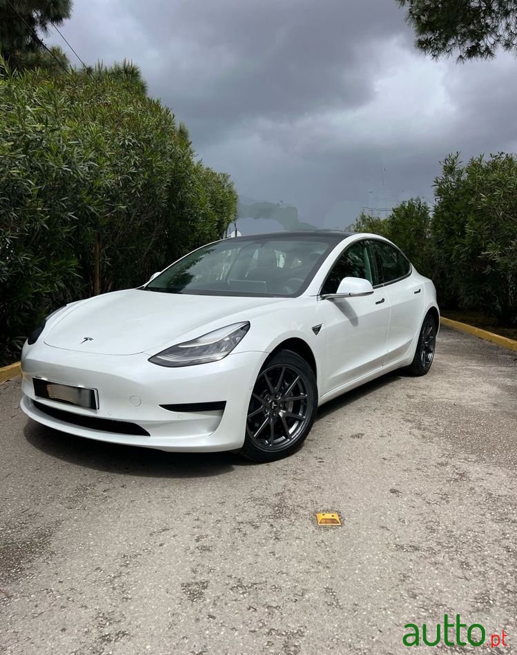 2019' Tesla Model 3 photo #2