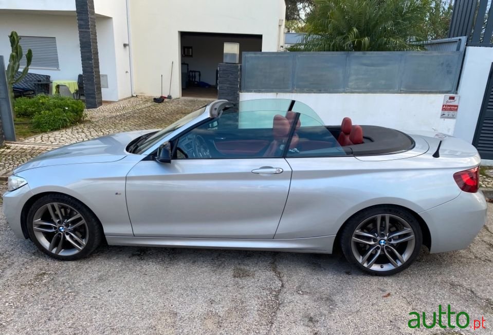 2010' BMW 220 photo #4