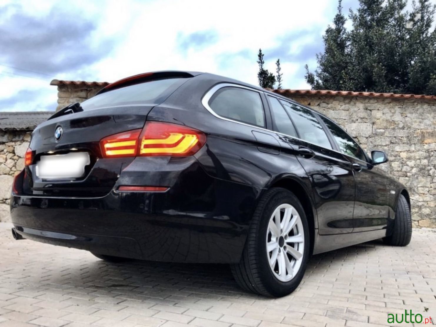 2011' BMW 520 photo #1