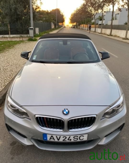 2010' BMW 220 photo #1