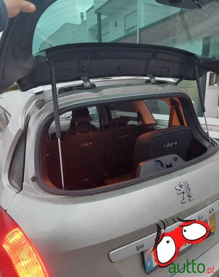 2009' Peugeot 308 Sw photo #4