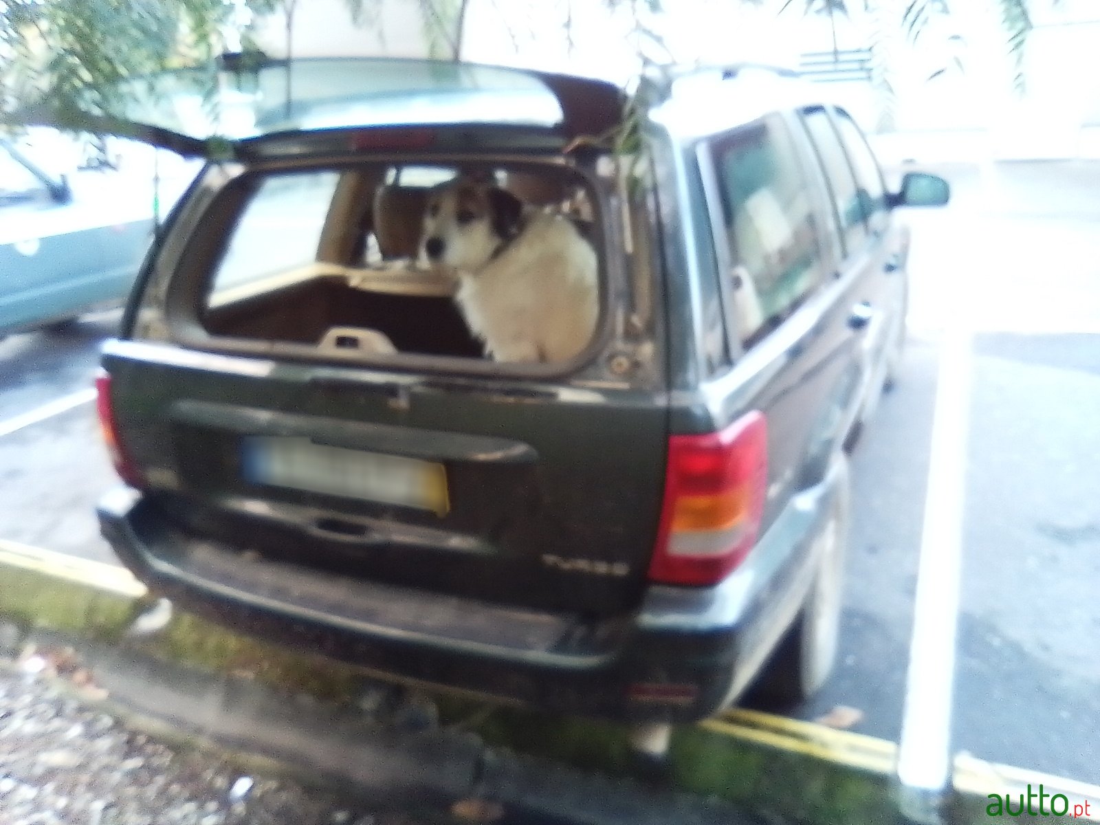 2000' Jeep Grand Cherokee photo #3