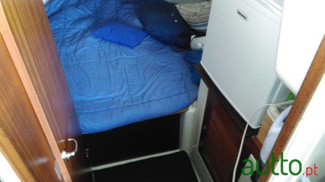 1999' Starfisher photo #3