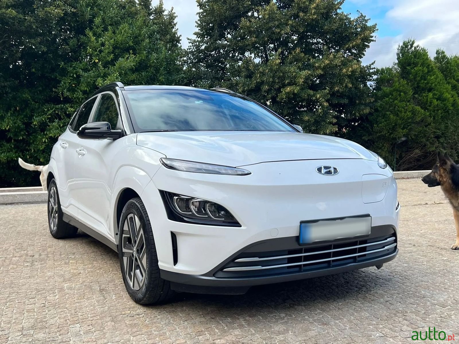 2021' Hyundai Kauai photo #2