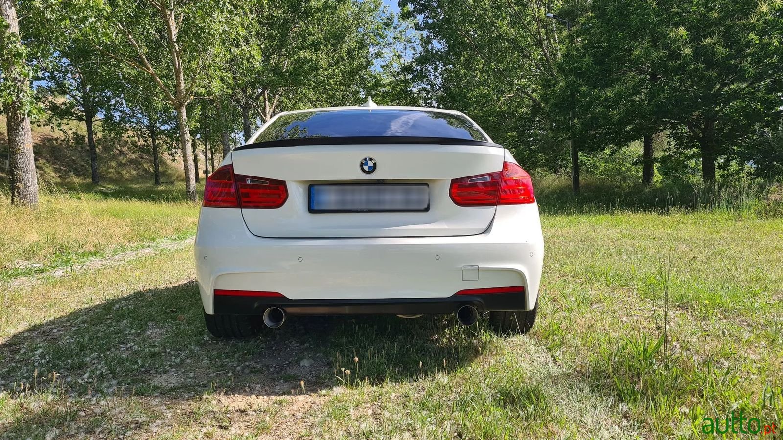 2013' BMW 320 photo #2