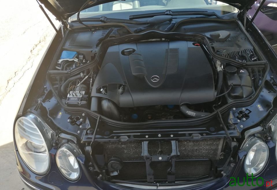 2009' Mercedes-Benz E-220 photo #6