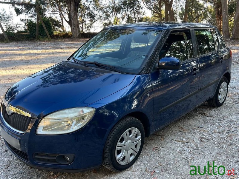 2008' Skoda Fabia 1.2 Ambiente photo #3