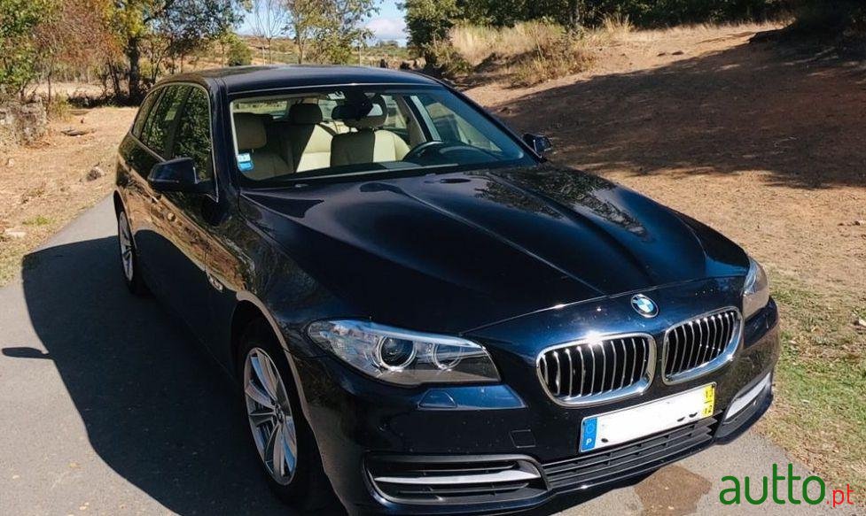 2013' BMW 520 photo #2