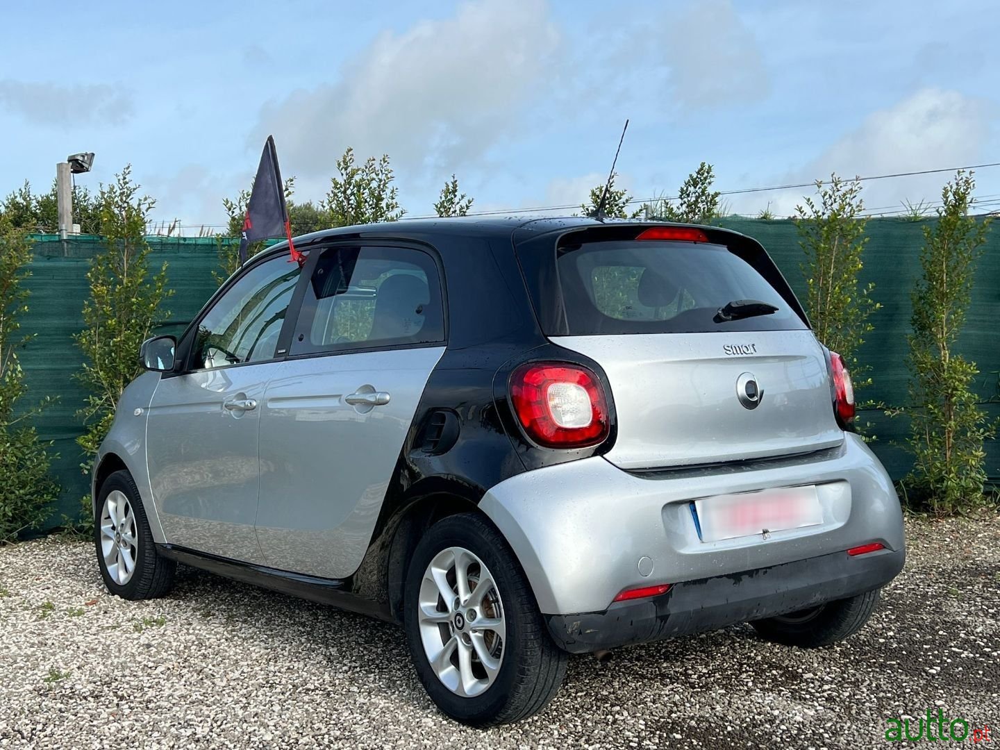 2016' Smart Forfour photo #4