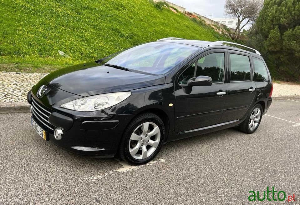 2007' Peugeot 307 Sw photo #1