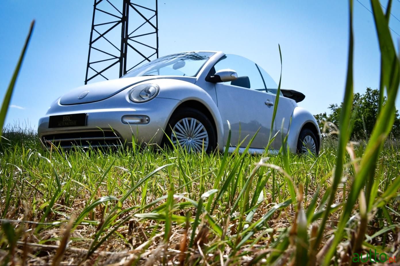 2004' Volkswagen photo #5