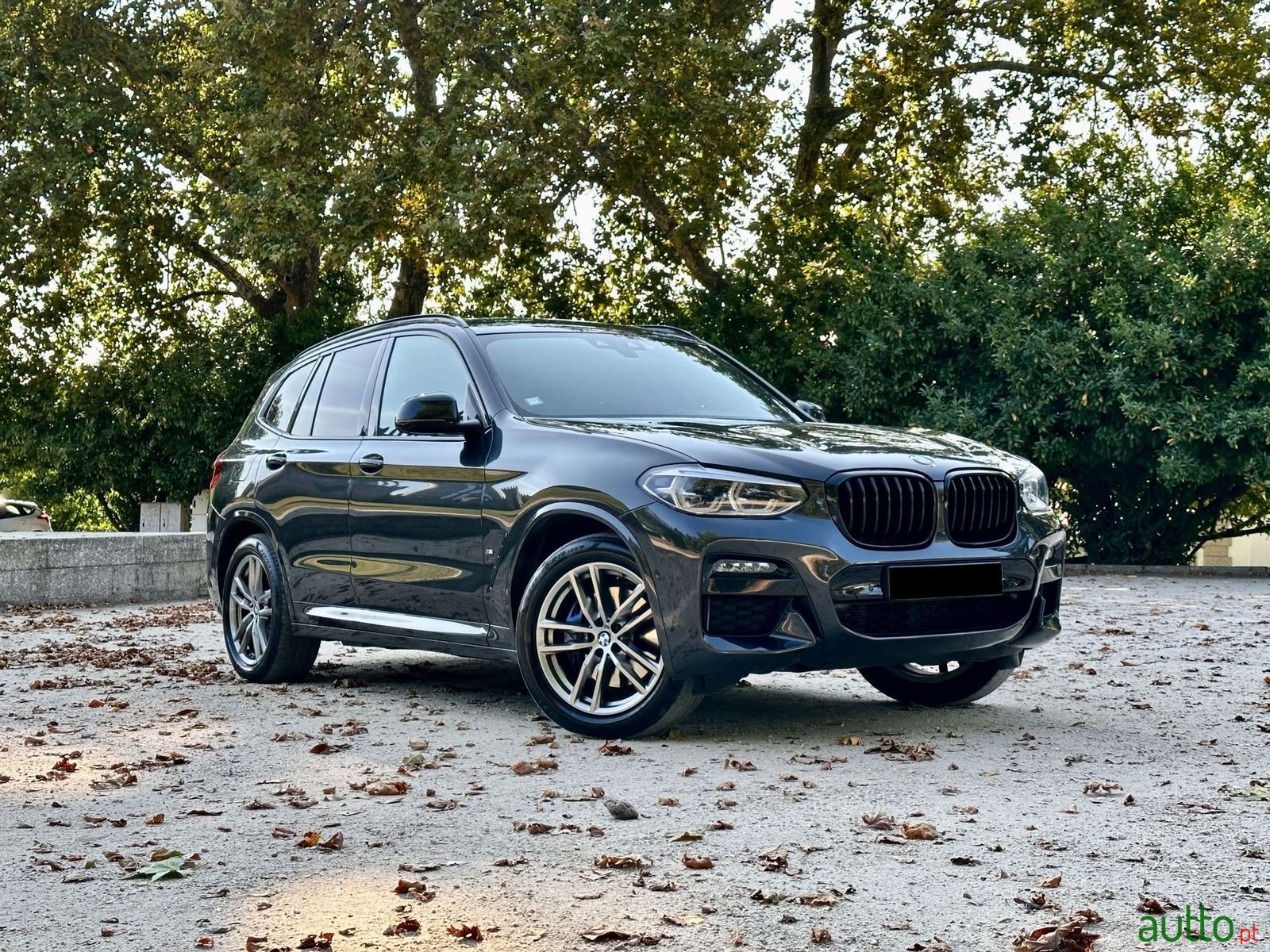 2020' BMW X3 photo #5