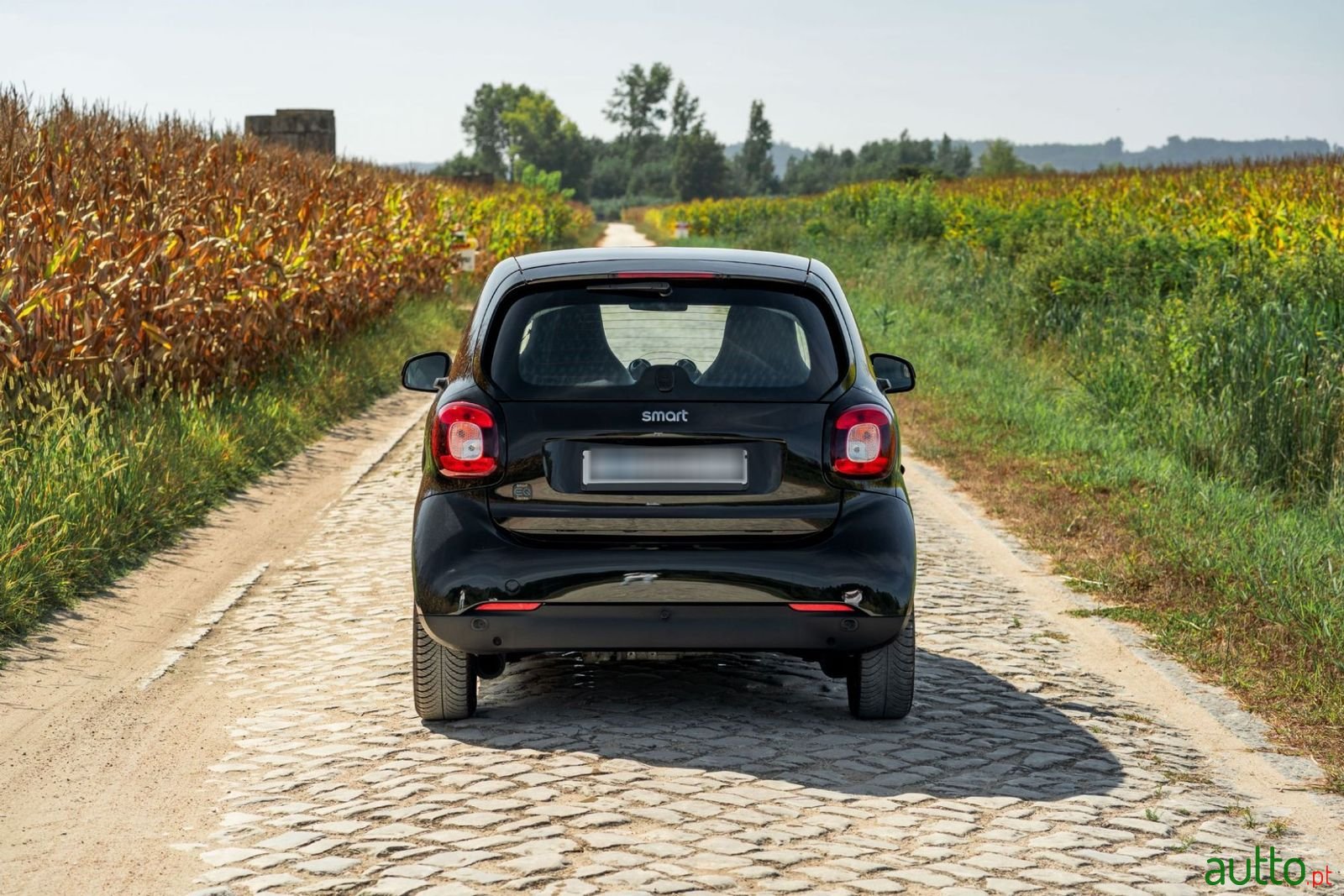 2019' Smart Fortwo photo #6