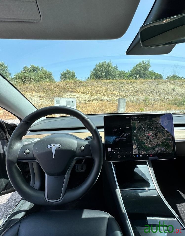 2019' Tesla Model 3 photo #5