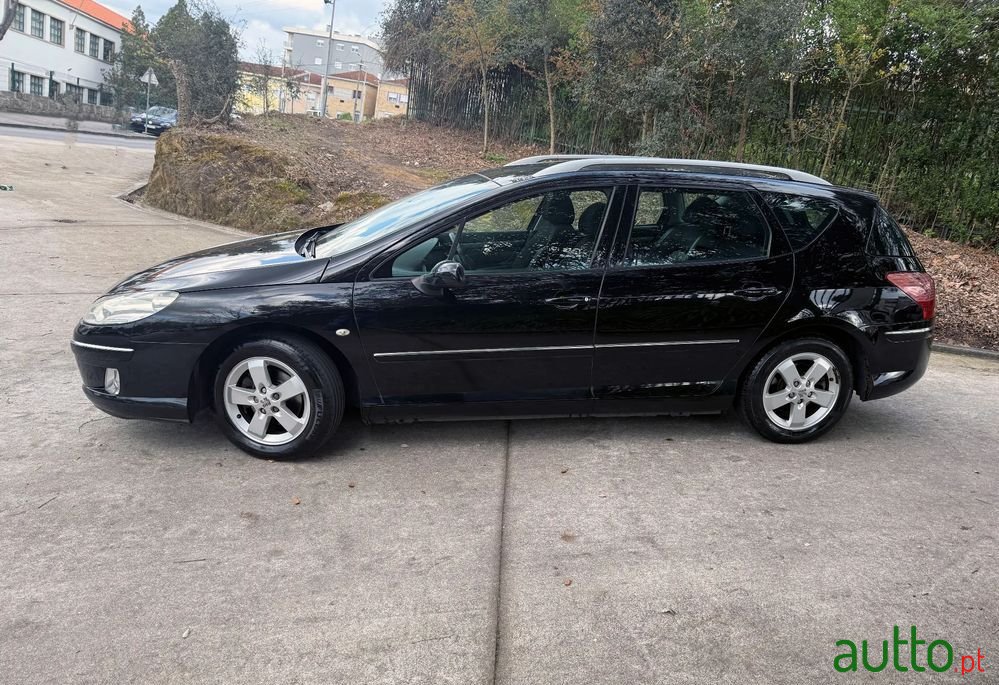 2009' Peugeot 407 Sw photo #2