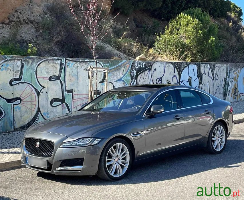 2015' Jaguar XF Portfolio photo #1