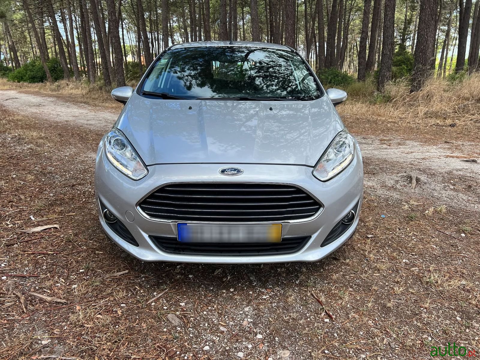 2014' Ford Fiesta photo #2