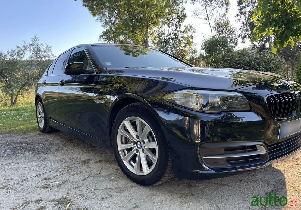 2014' BMW 525 D Auto photo #6