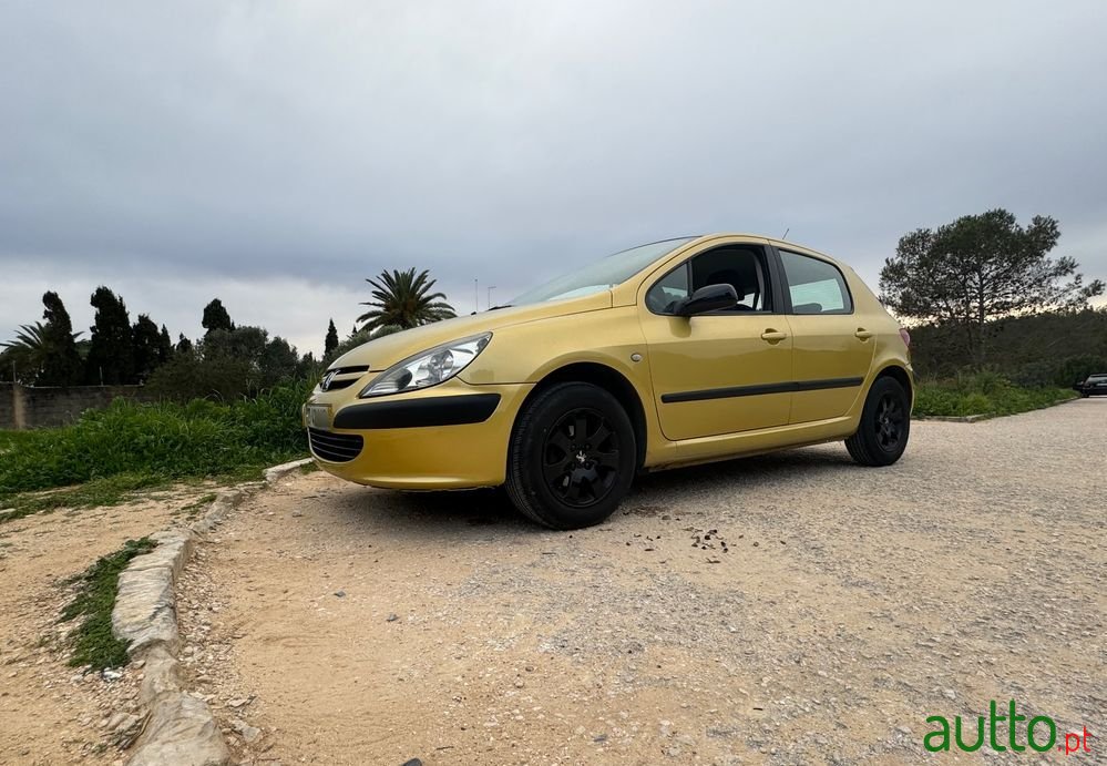 2002' Peugeot 307 photo #5