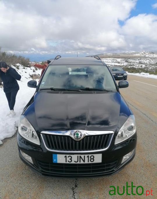 2010' Skoda Roomster photo #3