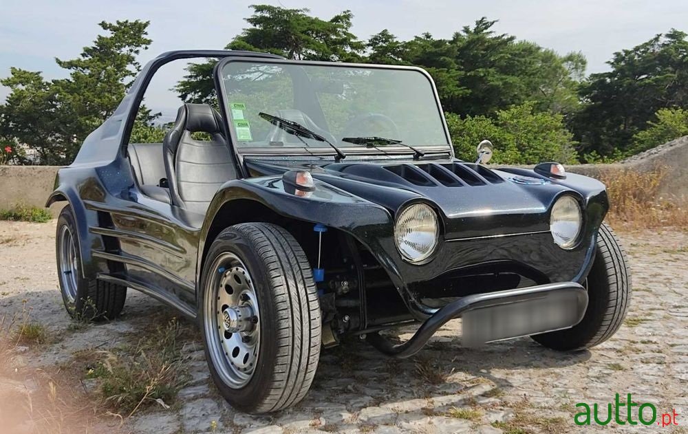 2016' Volkswagen Buggy photo #3