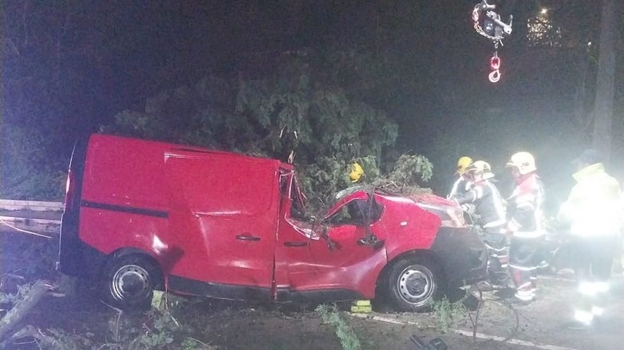Queda de árvore mata motorista de carrinha em Vila Franca de Xira