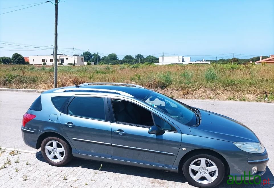 2006' Peugeot 407 Sw photo #3