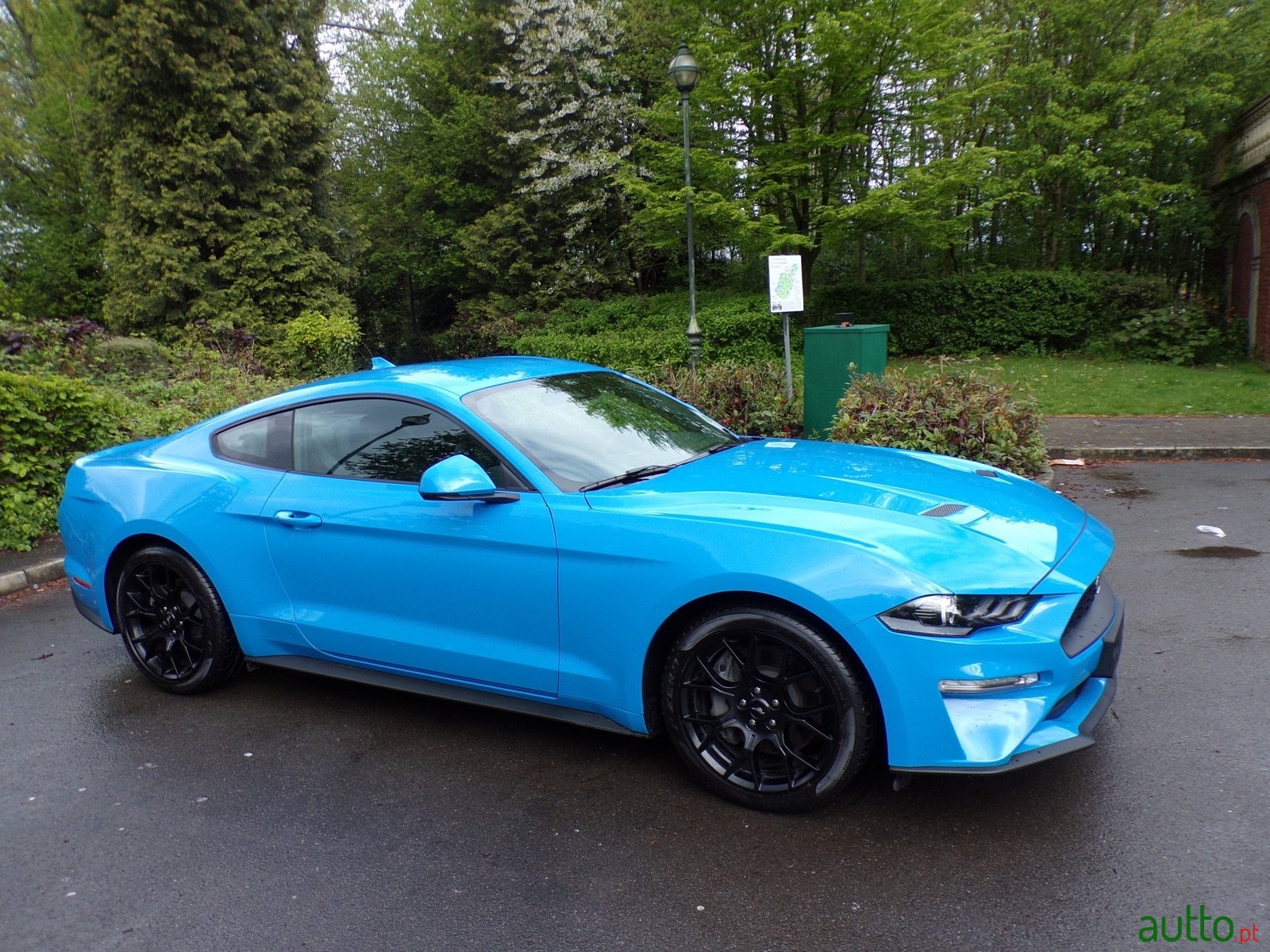 2022' Ford Mustang photo #1